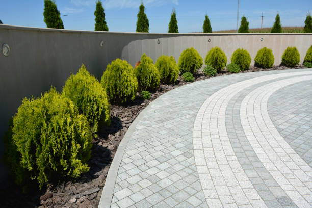 Trusted Silver Lakes, CA Driveway Pavers Experts
